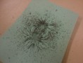 /album/el-laboratorio/a2014-06-10-10-30-38-jpg/